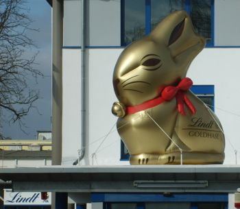 Goldhase